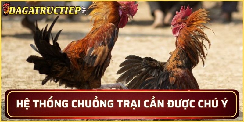 Hệ thống chuồng trại cần được chú ý