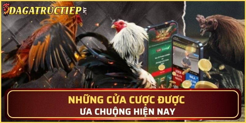 Những cửa cược được ưa chuộng hiện nay