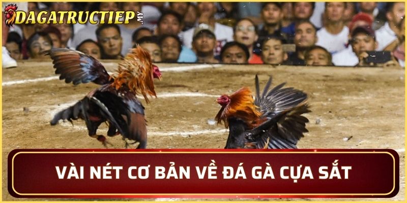 Vài nét cơ bản về đá gà cựa sắt