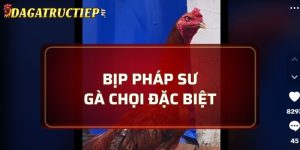 Bịp Pháp Sư