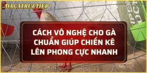 cách vô nghệ cho gà
