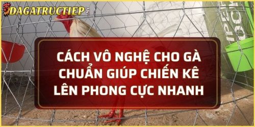cách vô nghệ cho gà