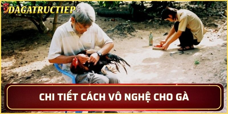 Chi tiết cách vô nghệ cho gà