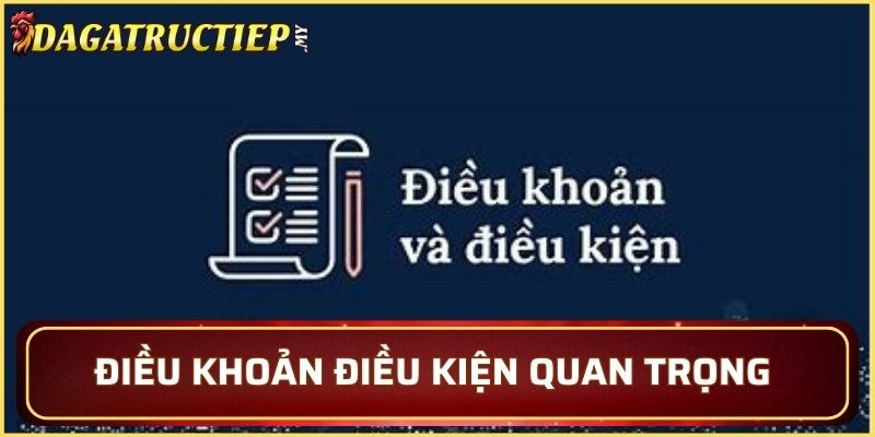 Chính sách đề ra cách quản lý hoạt động cá cược