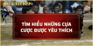 Đá gà cựa sắt