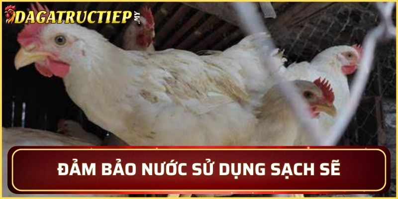 Đảm bảo có nguồn nước tốt