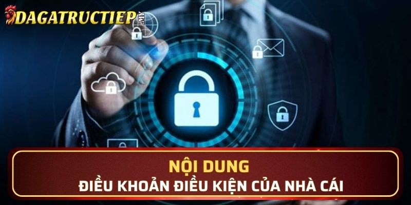 Điều khoản điều kiện cung cấp các quy định rõ ràng 