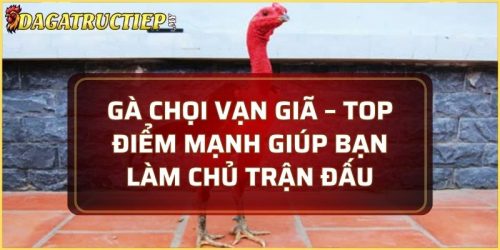 Gà chọi vạn giã