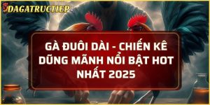 Gà đuôi dài