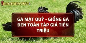Gà mặt quỷ