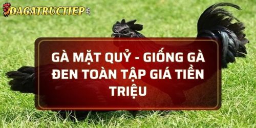 Gà mặt quỷ