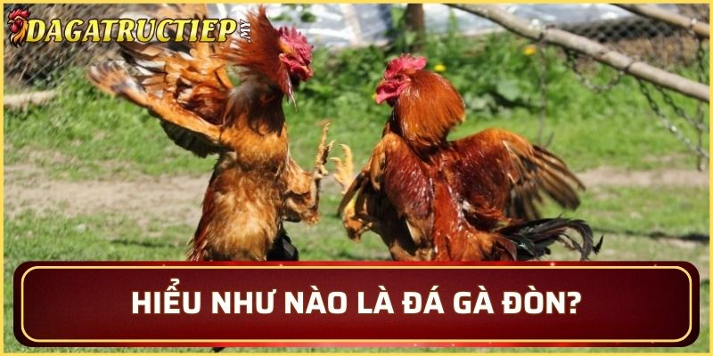 Hiểu như nào là đá gà đòn?
