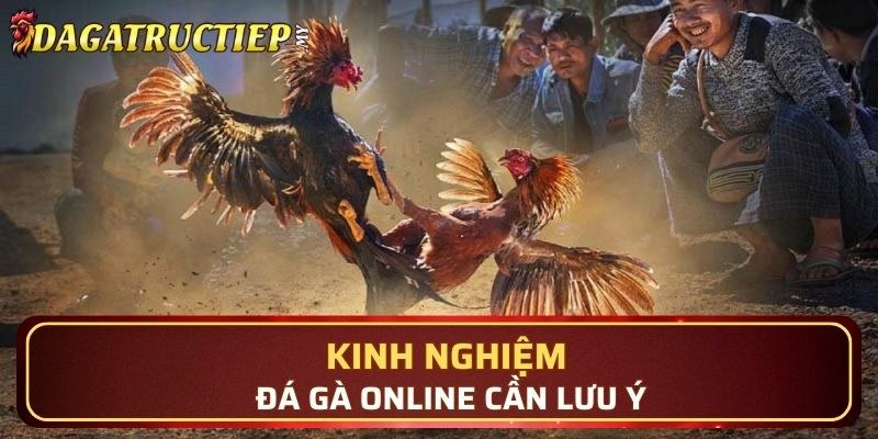 Hội viên cần lưu ý một vài yếu tố then chốt