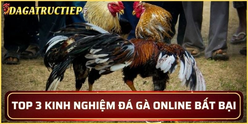 Hội viên cần nắm vững những bí quyết riêng