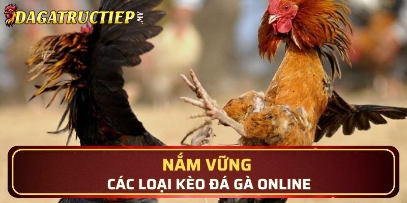 Kèo đá gà cùng các hình thức đặt cược đa dạng