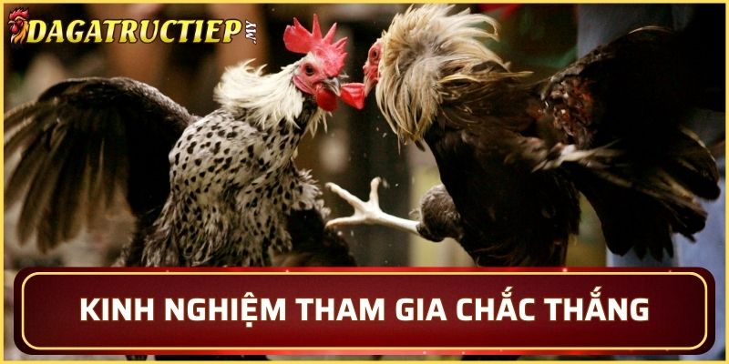 Kinh nghiệm để tham gia chắc thắng