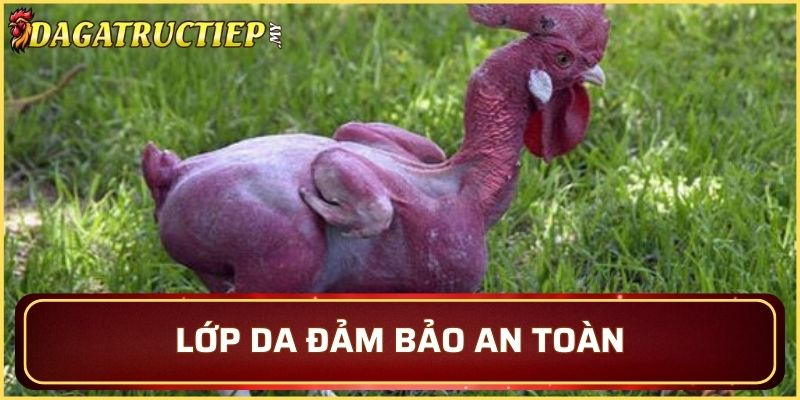 Mang trên mình cơ thể chắc chắn