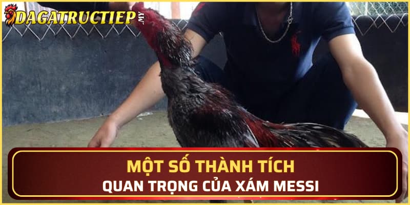 Một số thành tích quan trọng của Xám Messi
