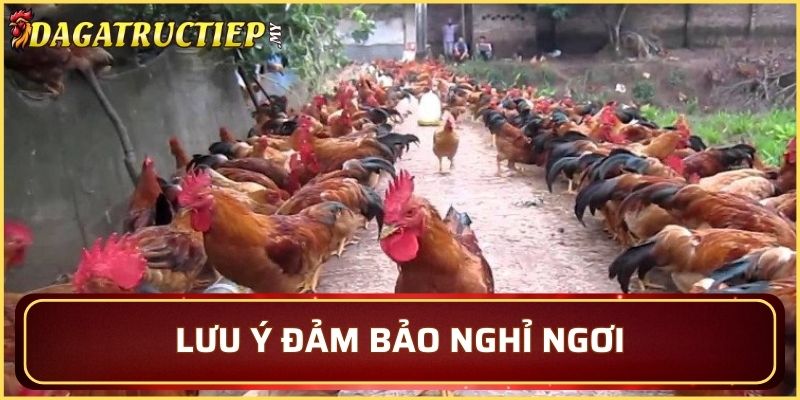 Nghỉ ngơi lấy lại tinh thần