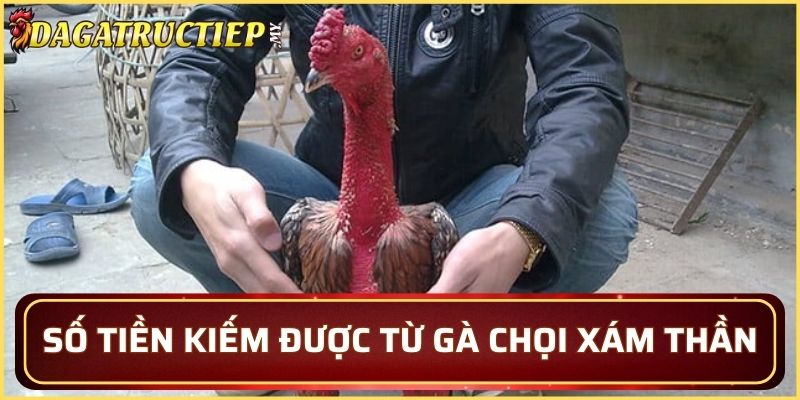 Số tiền kiếm được từ gà Xám Thần