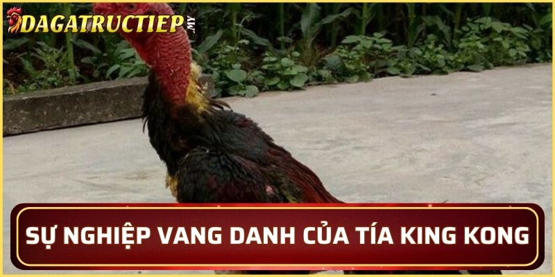 Sự nghiệp vang danh của Tía King Kong