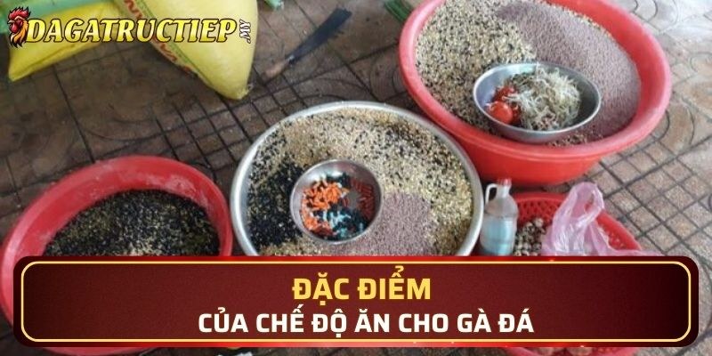 Thực phẩm hỗ trợ không thể bỏ qua 