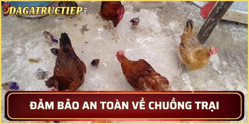 Thường xuyên giữ vệ sinh