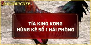 Tía King Kong