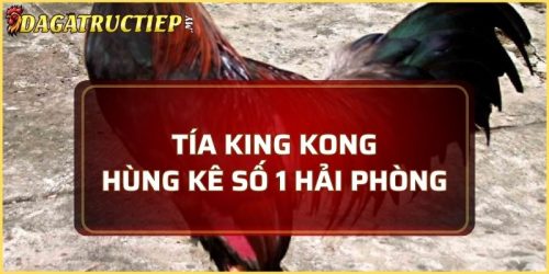 Tía King Kong