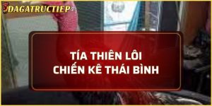 Tía Thiên Lôi