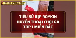 Tiểu sử Bịp Roykin