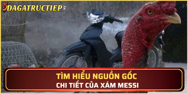 Tìm hiểu nguồn gốc chi tiết của Xám Messi