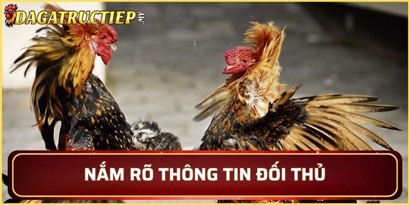 Tìm hiểu trước về đối thủ