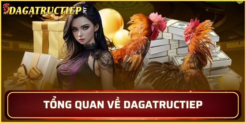 Tổng quan về Dagatructiep