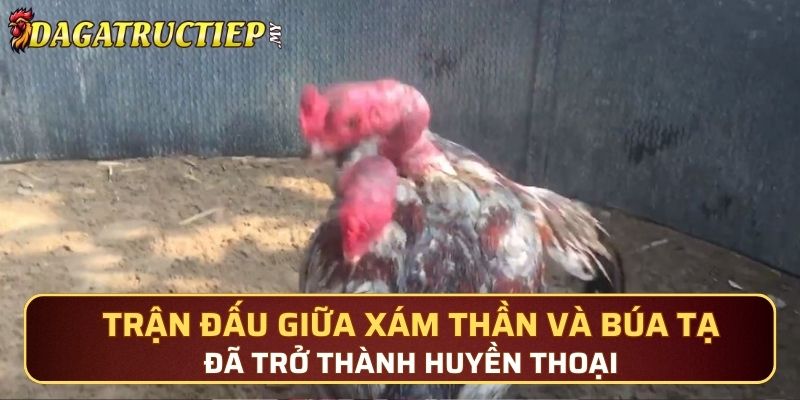 Trận đấu giữa Xám Thần và Búa Tạ đã trở thành huyền thoại