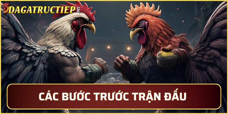 Những bước chuẩn bị trước khi trận diễn ra