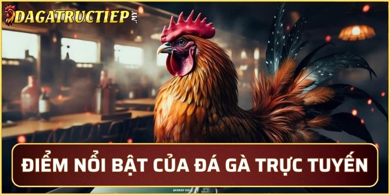 Vài nét nổi bật của đá gà trực tuyến thu hút người xem