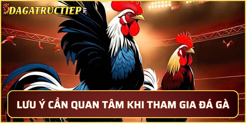 Những chú ý mà người chơi đá gà cần quan tâm