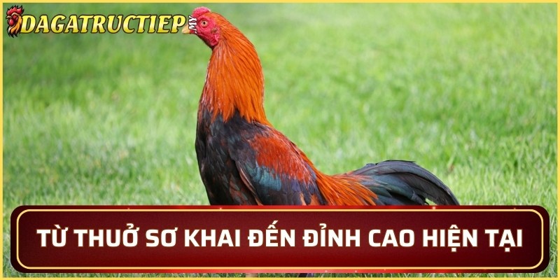 Từ thuở sơ khai đến đỉnh cao hiện tại