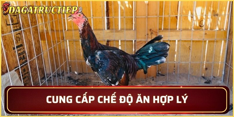 Xây dựng dinh dưỡng hiệu quả